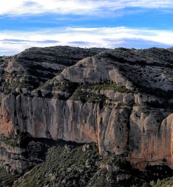 Los dominios del Montsant