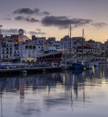 Nager avec les thons