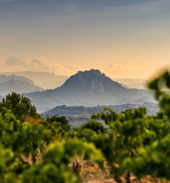 Auf den Spuren von Picasso