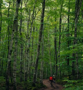De Olot a la Fageda d’en Jordà